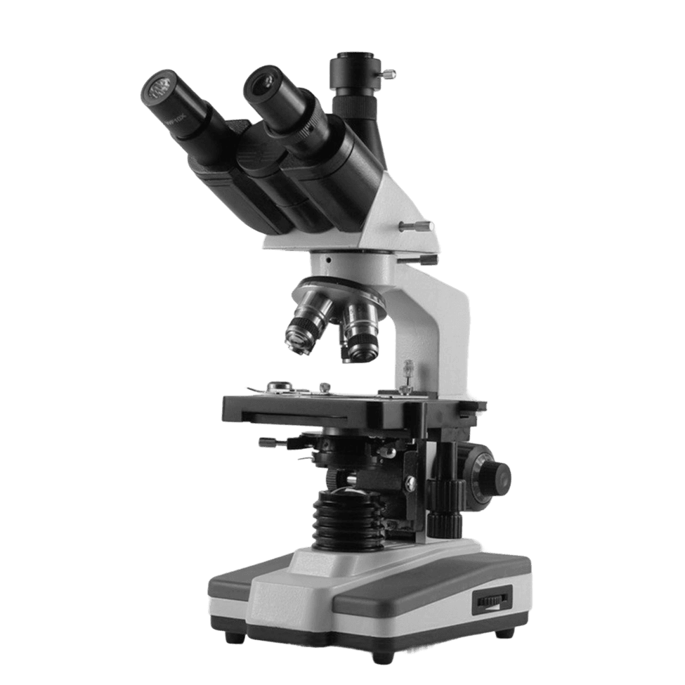 Microscope
